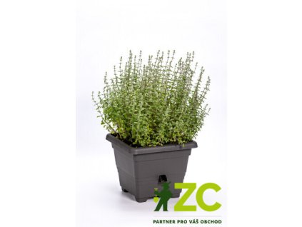 35f031b7 2416 4bd7 a8bb c9a0c6e07c4c