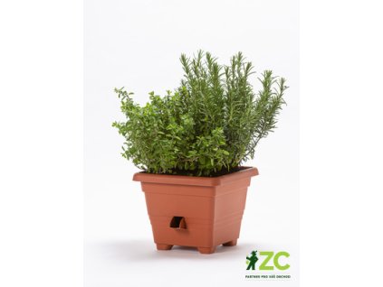 d70d0f04 1487 41cc 86db 4b55f696b910