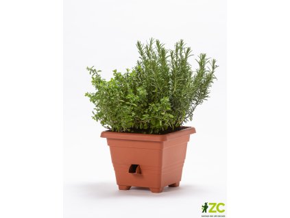 f72b9a67 7a7b 44bd a8bb 3ccae5a095c0