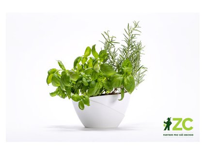 878376af 50cc 4ed3 9f7f d53785d32532