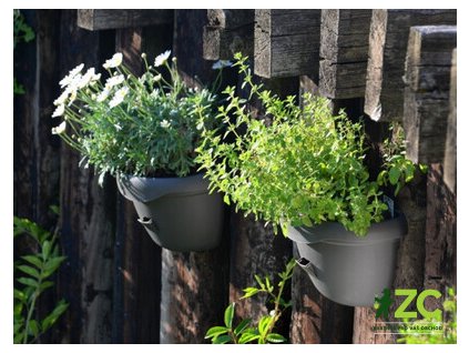 77480cc8 bebd 44f1 b9ba 52ccaf1bd235