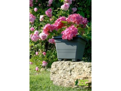 3bbb6d44 e1ea 4735 9fa4 2249e3460f92