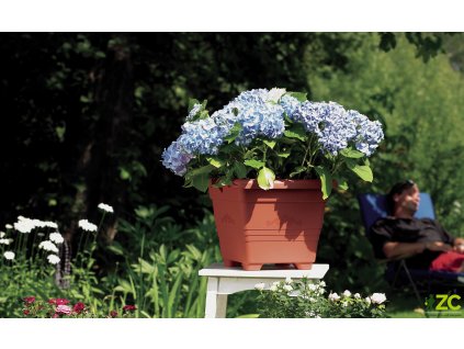 5e47d7f4 68dc 4737 87c9 9d900e6998be