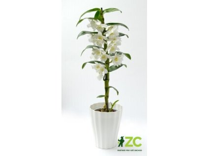 d881ae14 a48d 4916 84c1 8dfe6204ce8a