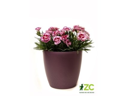 3c25810b 77b1 4f08 a069 77a375d6a1ed