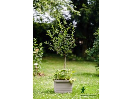 d03f81bf e893 43ce ac67 5dbcb8e00bdb