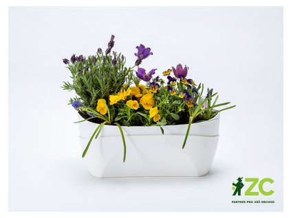 bcd80b6c 1463 45dd a9ea 527279f957e7