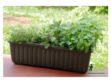 aff9fc96 5aca 4250 ab4a 8874d4fd5fd6