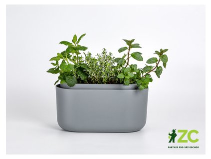 42fbbbcd db3e 440f 8252 86fd55c56fe4