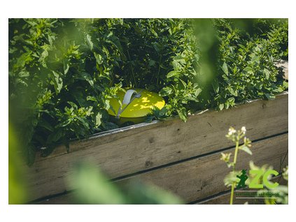 c92981a0 04e3 47f6 9b76 e31d3cba0c32