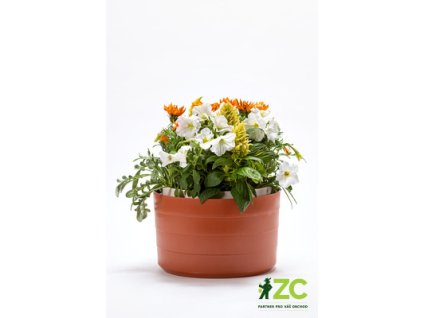 c206253b e0b9 40f7 ae8c 625f0e14a4d5