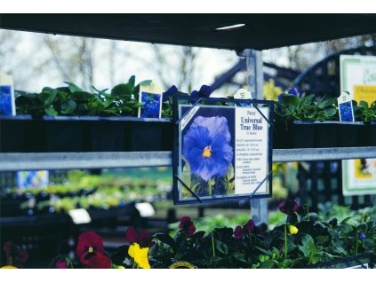 2c310206 e895 44ab 8114 ef89b6d55c23