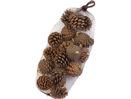 8374c11b 7f6f 4491 934a 30ce3400877a