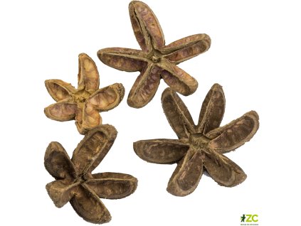 0d081a26 79de 4f54 abd8 92eaa171b391