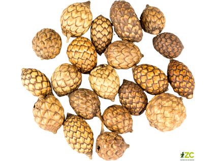 5136ee28 be0c 45a9 851c 3cb2a10365ab