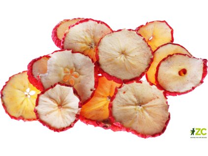 6b2f2ae2 ead9 4635 9bab 4cba58f162be