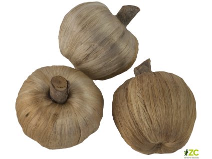 81f890de 9a15 4424 bac0 3bdd2884dc08