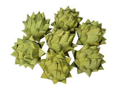 69c884fe b716 4c4a 9d14 8ef73b221464