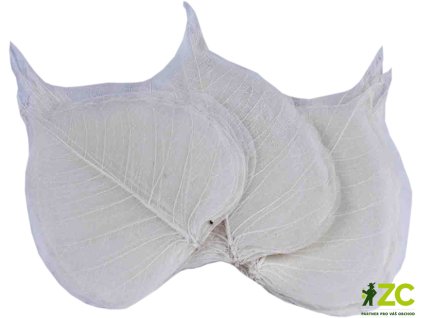 3b4fb98c d6be 48d8 a43d 88b39ebfb11d