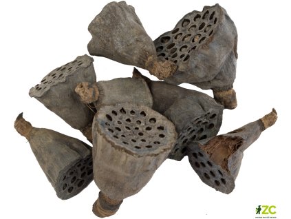 339aae96 c53a 4dd0 8cad 8963c96ef9dc