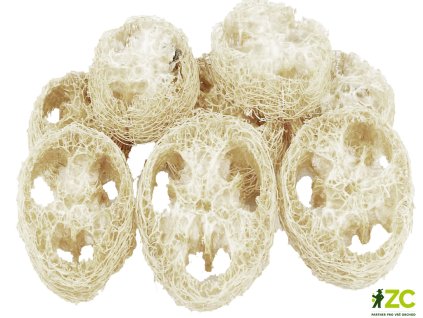 e4acc1f2 6c83 42f0 bfd0 dab44700384b