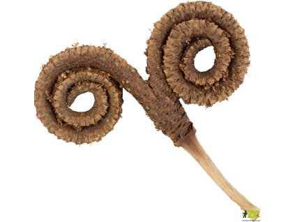 7f2f12d3 4d2a 4f9c b337 d8dfa5d6b018