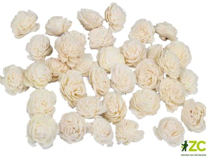 9f187ffd 3f90 4dc4 b5f6 37321e357c6d