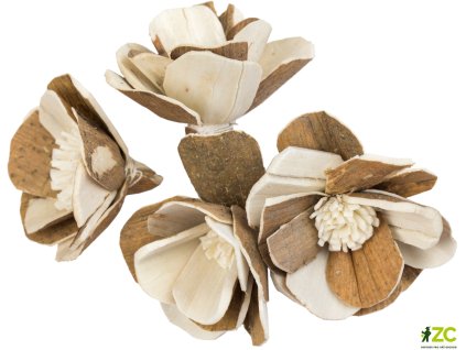 48f220ba 8c78 403e b978 065f61605e82