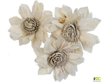 9affec97 2297 439f b5bd c4a55984b76f