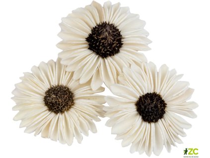 45105301 8028 4d5d af84 91ab8f6580d8