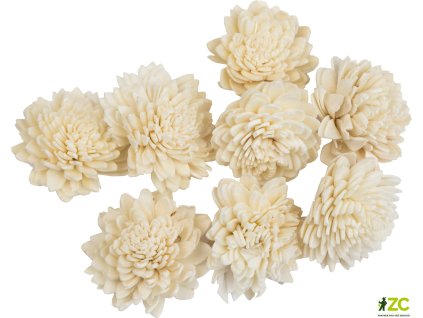 4c944585 ecc7 4d93 8b1e 83555508295c