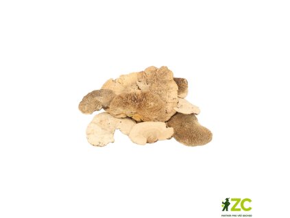 fda8d0ce 20a2 44d9 a82b 044acb6a65f9