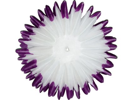 5810387c 55b1 4107 98f3 c49ebd61b61d