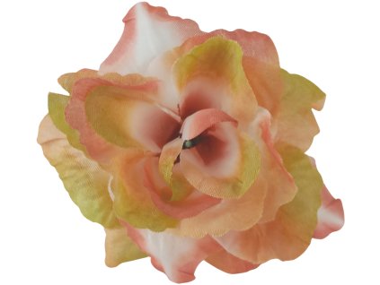 888ba095 f3f5 458d be23 a07cb5a2b021