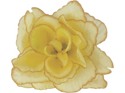 589fcde2 707e 4504 8d64 c1354ae69cf4