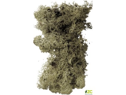 8ad5a379 9a4c 4b80 ac78 3cebbc47cf46