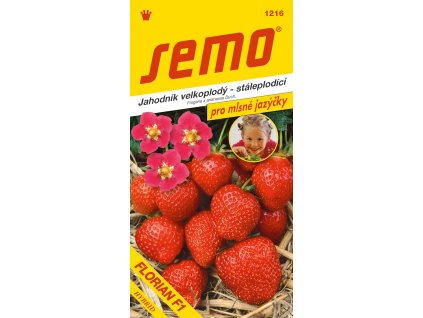 be45ca60 3c20 4641 83e1 b61d7566e1be