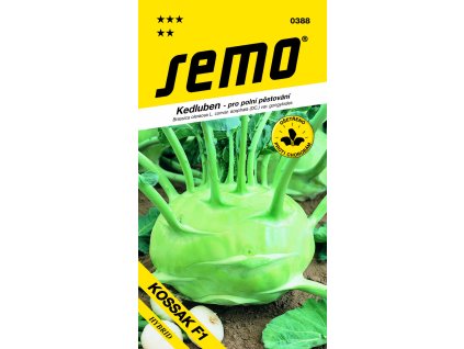 08e64e76 9c93 412d 80b4 51f880b45ded