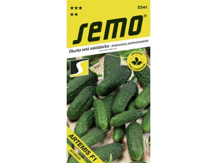 436afdaf 567e 426e 918d 032de3679921