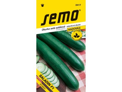 92e0bddc 6bff 41e2 839a 7aba189b569e