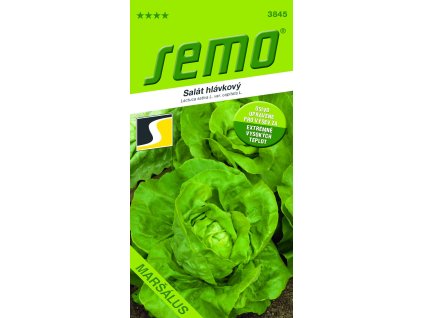 5ac36681 373e 4dab 8723 b1bd34984f12