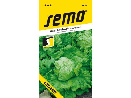 ae596cbd 046e 484d 9b14 8e2ac7093441