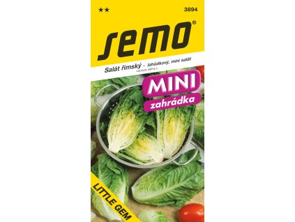 222282e9 4b1b 4e19 871a 951a1895600b