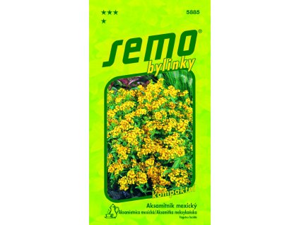 54805edb fa25 484e 87e2 c2cd857ff031