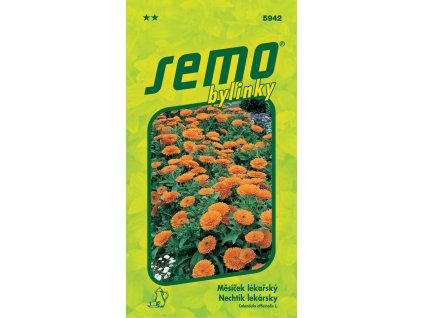 61cc8183 09f4 494e 8317 bd47a9d0b7ad