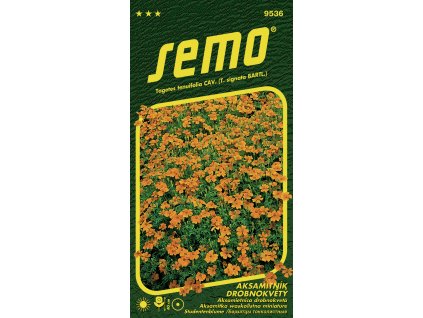 3913d1fb 4c69 45c1 b061 b7b2693aa382