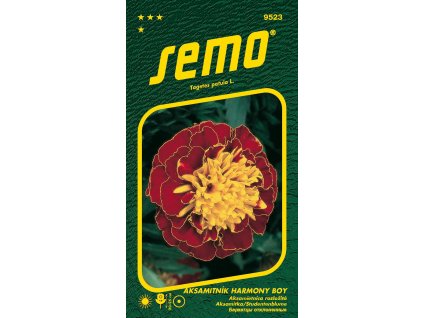 b2a2dfe9 d0ca 4161 bfb8 b1a02a0b83dd