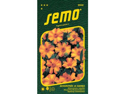 5e5539ae 59b2 4368 ae1a a24c84dfc6a4