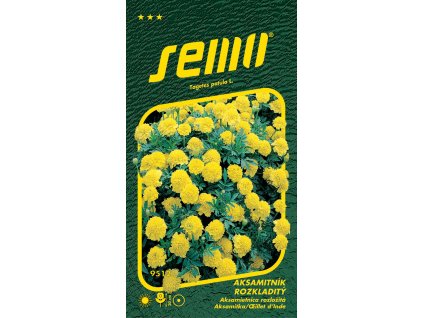 f741b1fd 3834 42ed 8c4c 08f9a8880c79