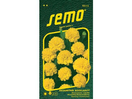 38243806 3cee 4ada 8b99 bdf536c59079